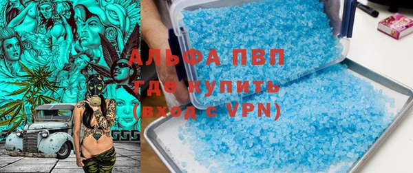 крисы Белокуриха