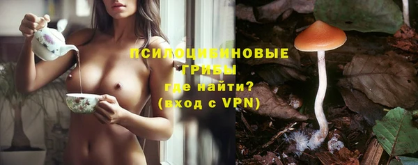 крисы Белокуриха