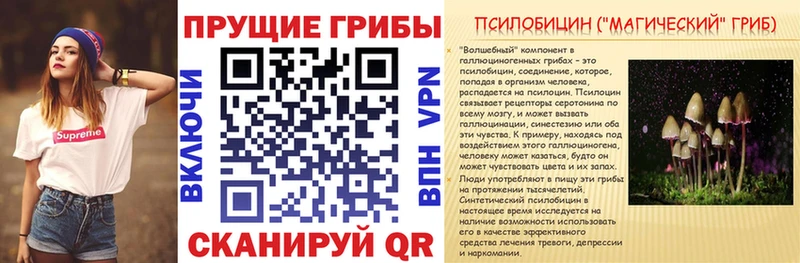 Галлюциногенные грибы Cubensis  площадка состав  Давлеканово 